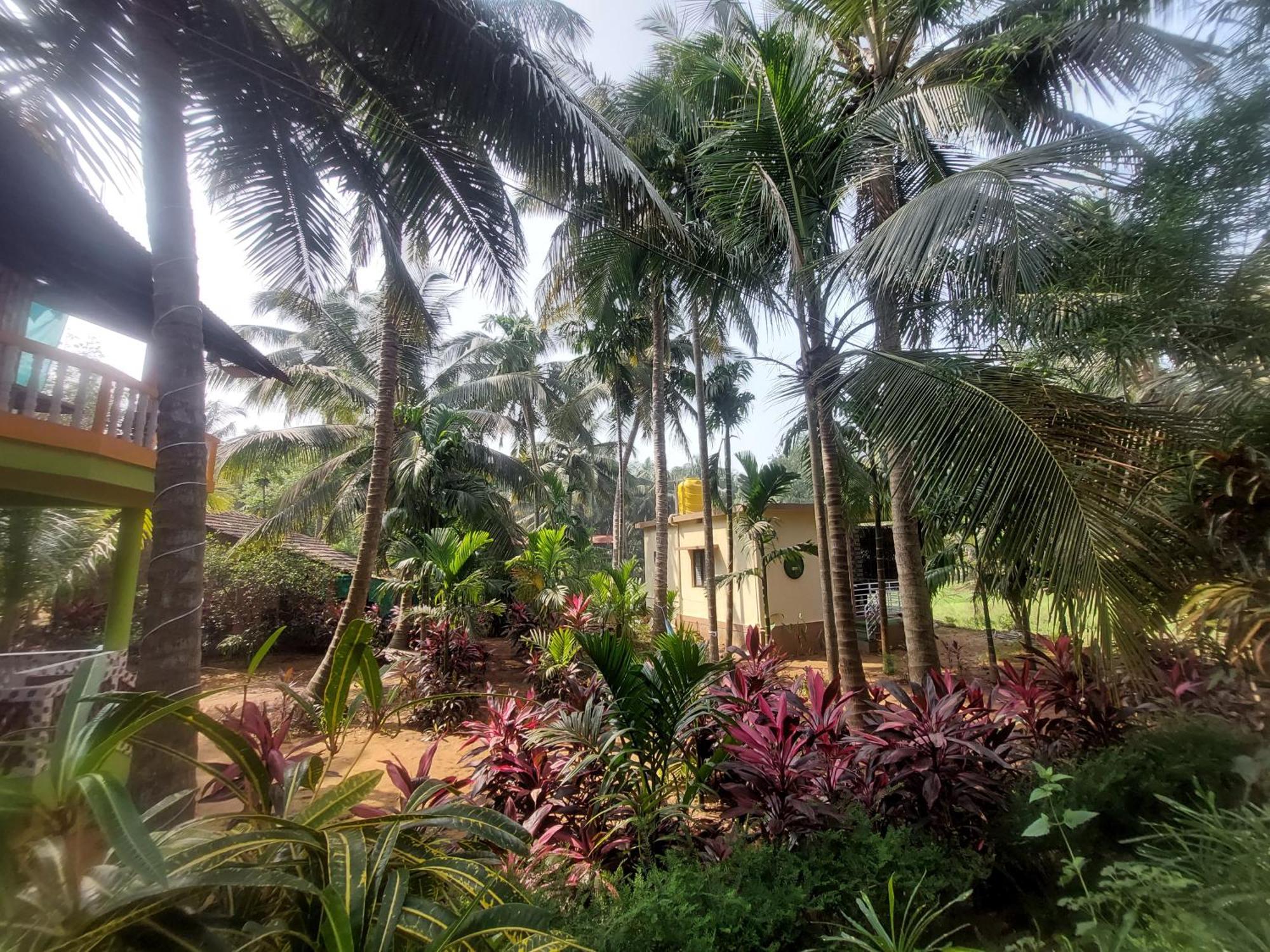 Areca Nest Villa Gokarna  Buitenkant foto